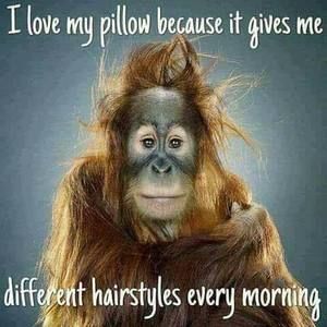 Meet your Posher, Buck